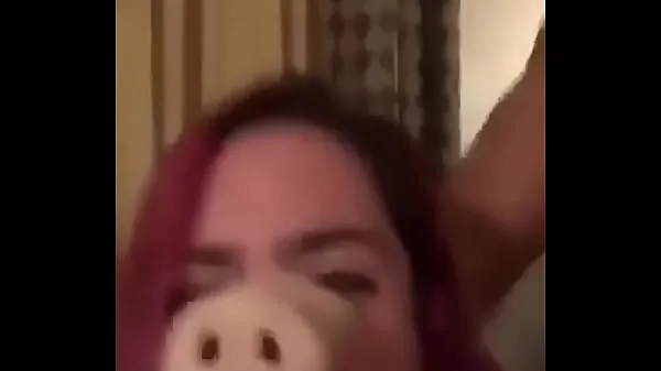 HD Quien es este cerdito conduce películas