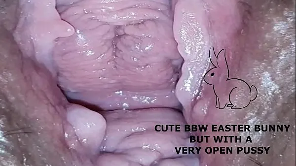 HD Cute bbw bunny, but with a very open pussy 드라이브 동영상