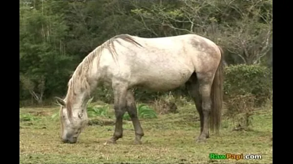 एचडी first time bareback ड्राइव मूवीज़